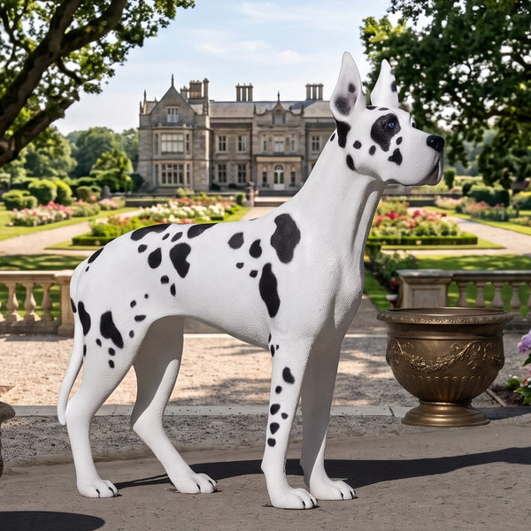 Heinimex Standing Great Dane animal statue, painted finish, realistic life-size style lifestyle photo