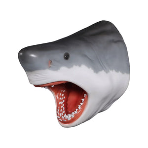 Great White Shark's Head (not in Aus)