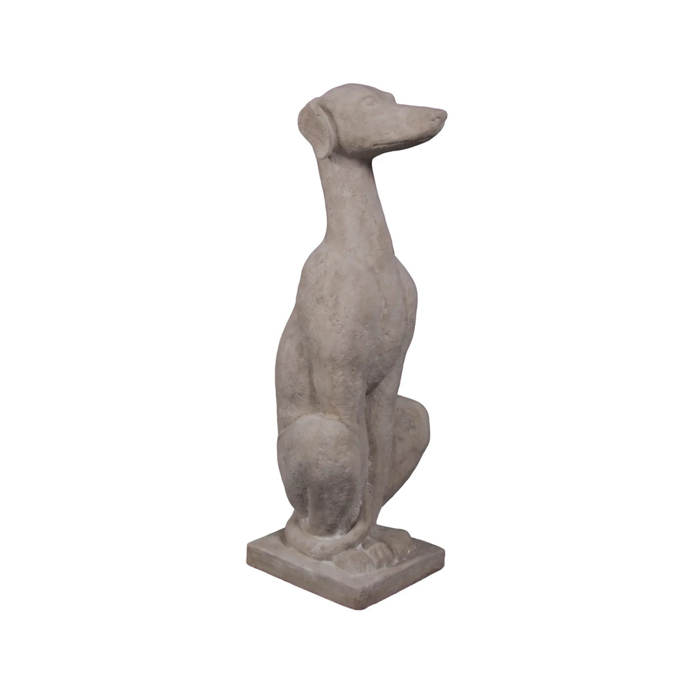 Greyhound Sitting