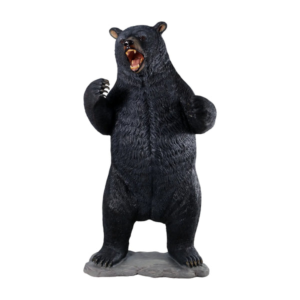 Growling Black Bear (not in USA/Canada)