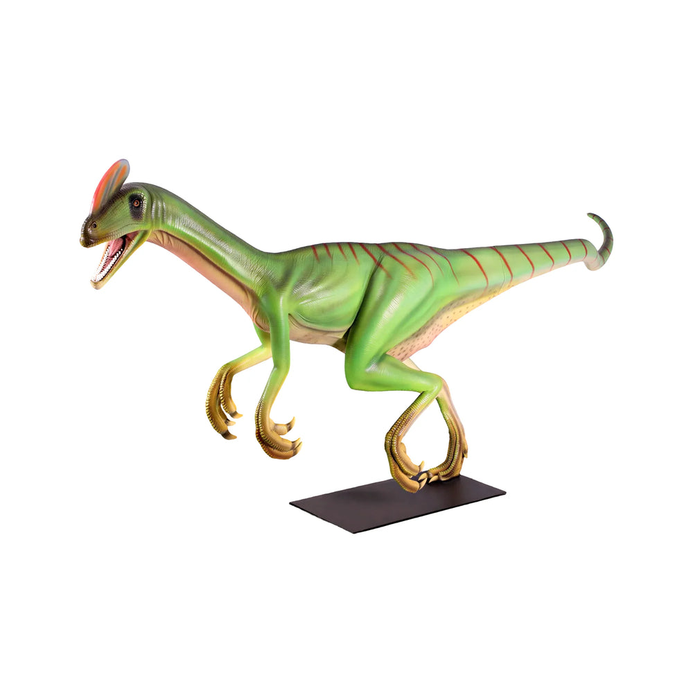 Guanlong Wucaii (Not In Aus)