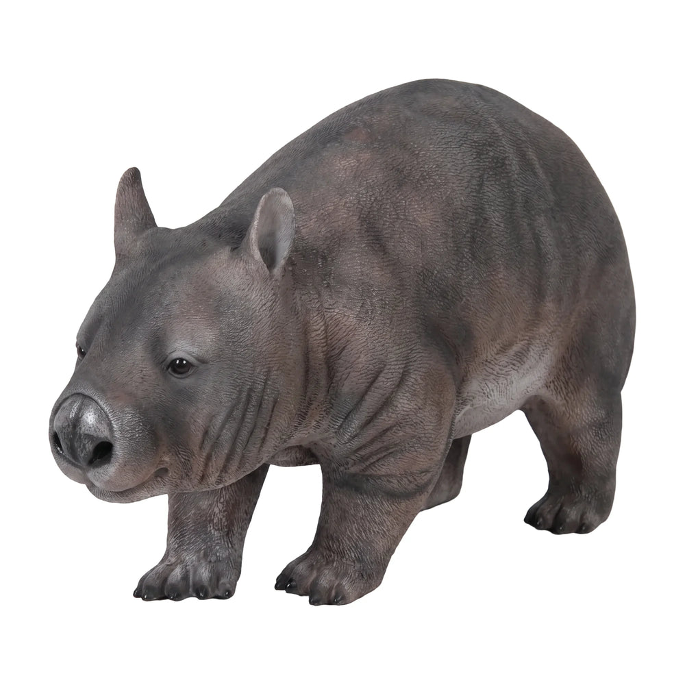 Hairy Nosed Wombat (Not in AUS)