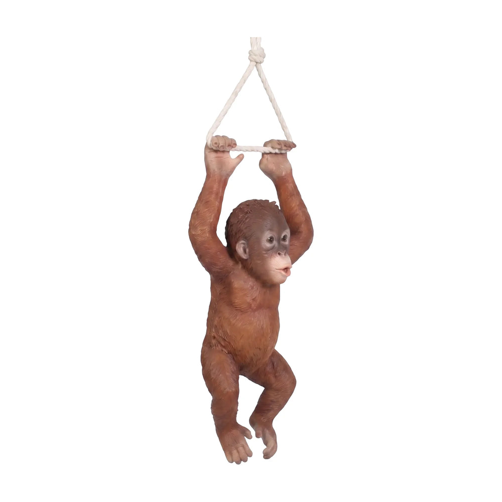 Hanging Baby Orangutan (Not in USA/Canada)