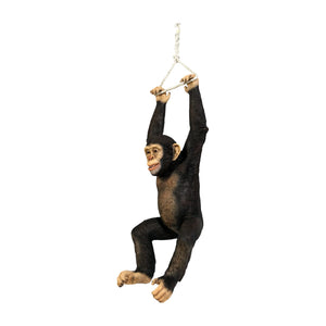 Hanging Chimpanzee