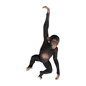 Hanging Monkey (Not in Aus)