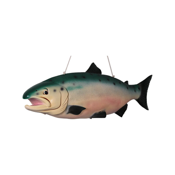 Hanging Salmon