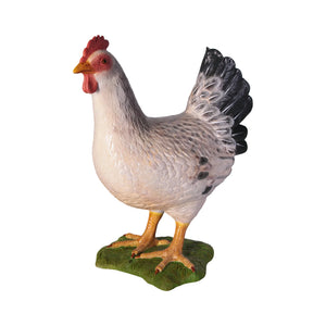 Hen (not in AUS)