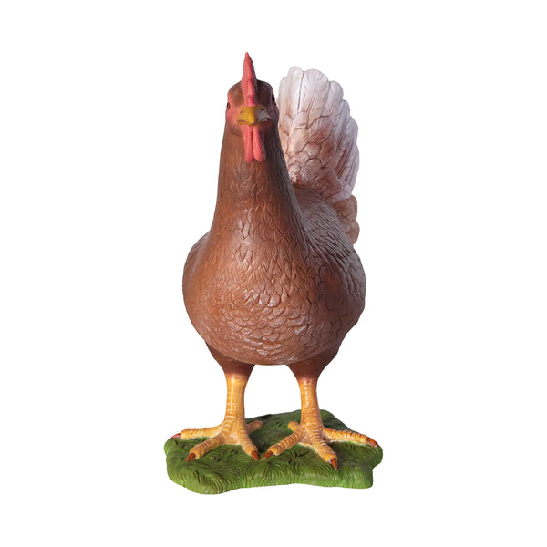 Hen (not in AUS)