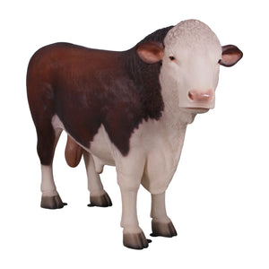 Hereford Bull (not in AUS/NewZealand)