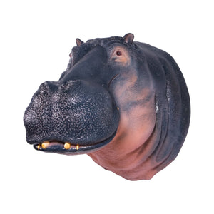 Hippopotamus - Head Only