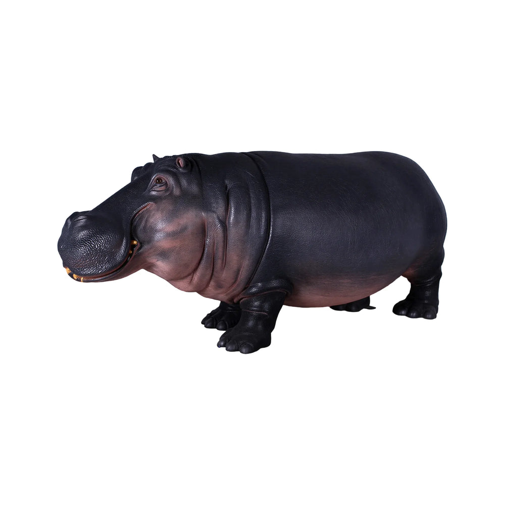 Hippopotamus - new