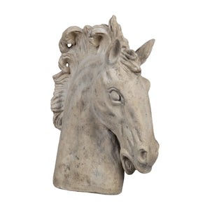 Horse Head