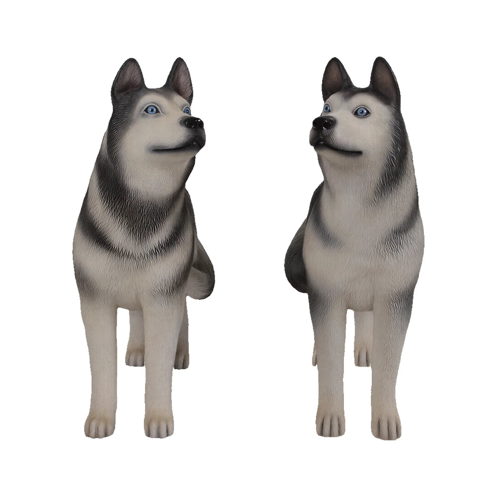 Husky (Set of 2)