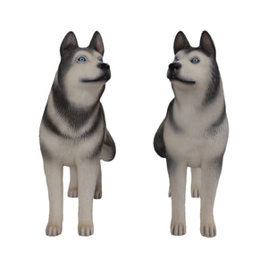 Husky (Set of 2)