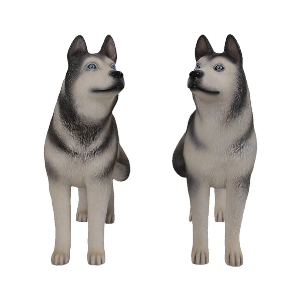 Husky (Set of 2)