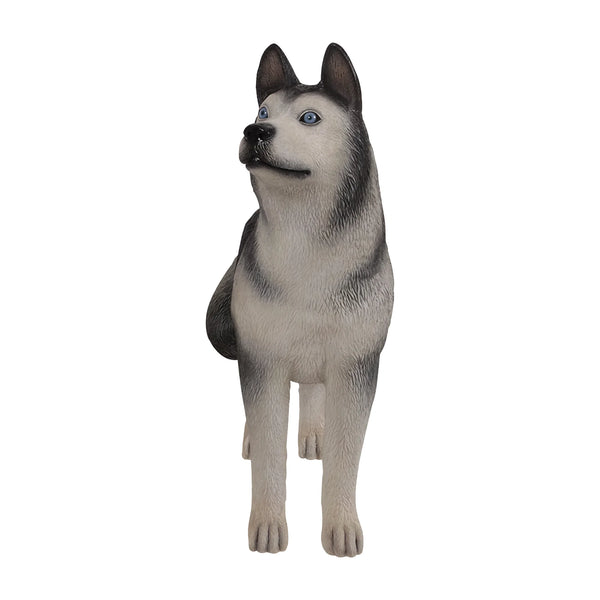 Husky - Looking Right