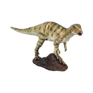 Hypsilophodont (Not In Aus)