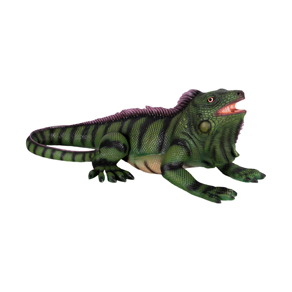 Iguana 24"