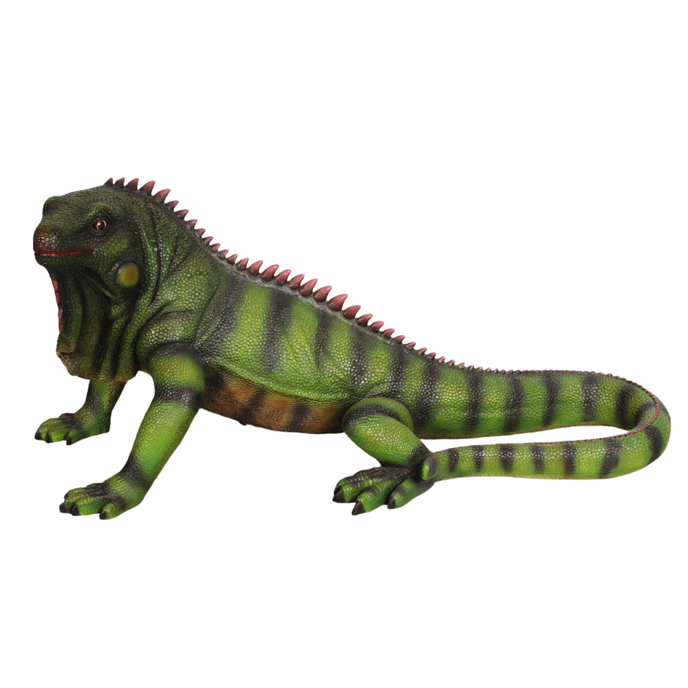 Iguana (not in USA/Canada)