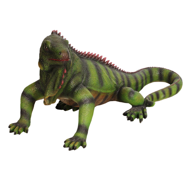 Iguana (not in USA/Canada)