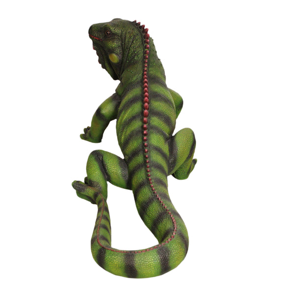 Iguana (not in USA/Canada)