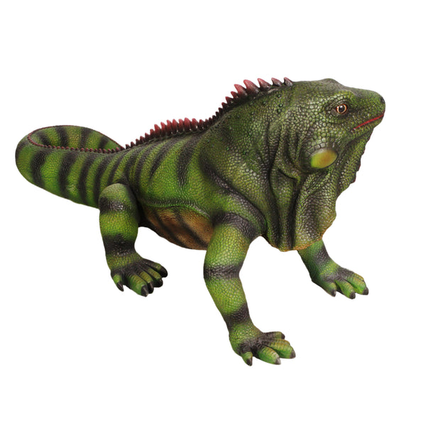 Iguana (not in USA/Canada)