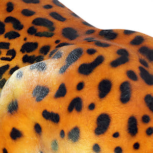Jaguar (Not in Aus)