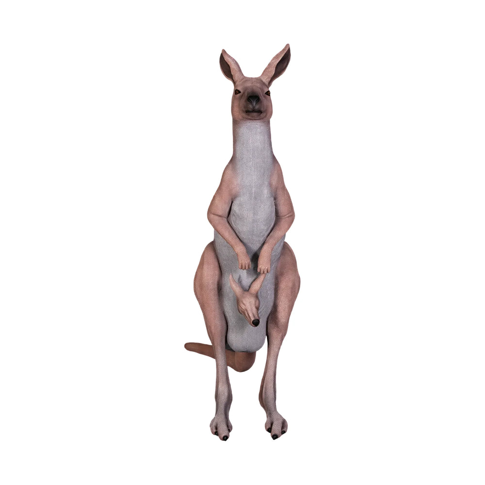 Kangaroo (Not in Aus)