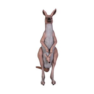 Kangaroo (Not in Aus)