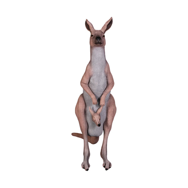 Kangaroo (Not in Aus)