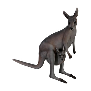 Kangaroo with Joey (not in AUS)