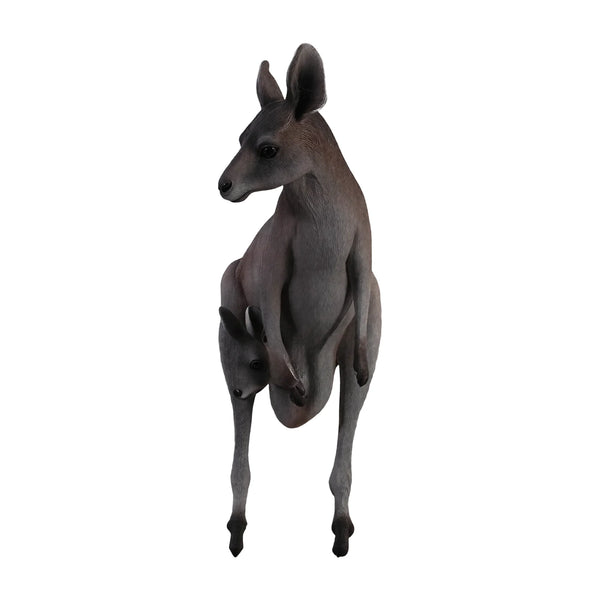 Kangaroo with Joey (not in AUS)