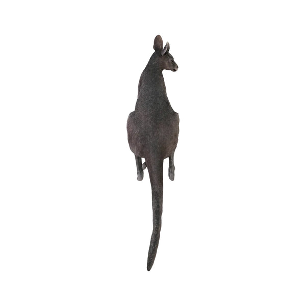 Kangaroo with Joey (not in AUS)