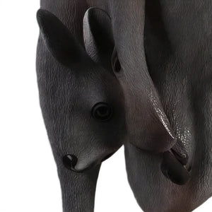 Kangaroo with Joey (not in AUS)