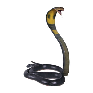 King Cobra - 5 meter
