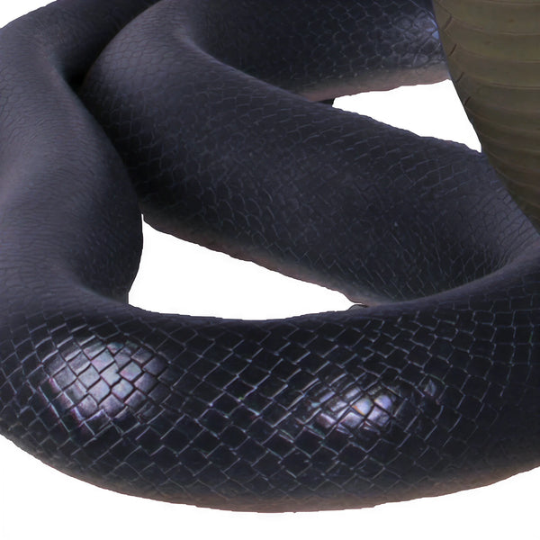 King Cobra - 5 meter