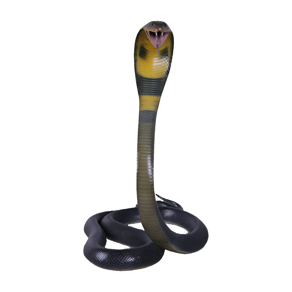 King Cobra - 5 meter