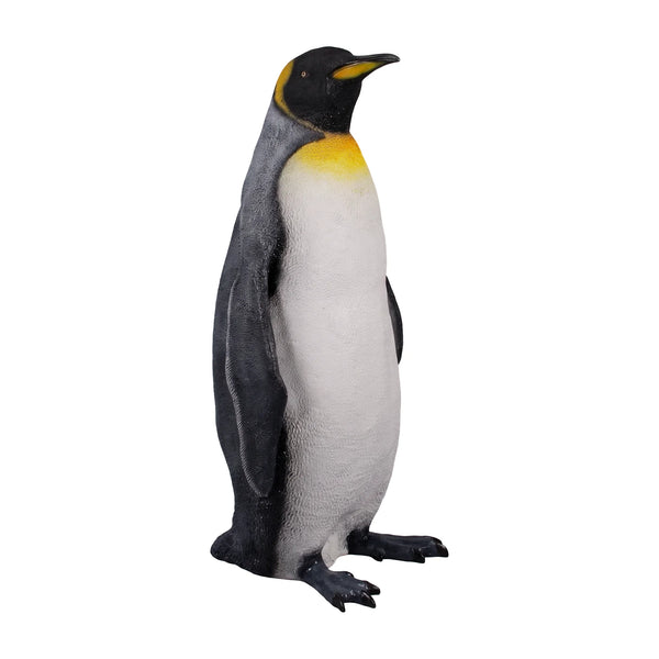King Penguin (not in AUS)