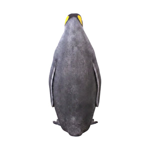 King Penguin (not in AUS)