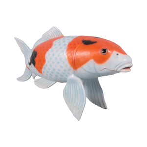 Koi 175cm (not in UK)