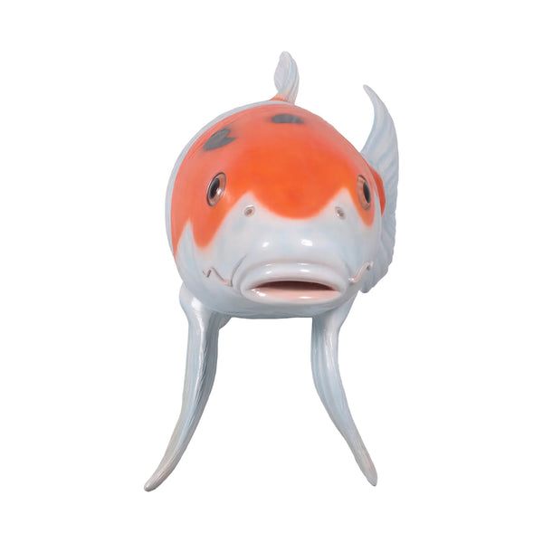 Koi 175cm (not in UK)