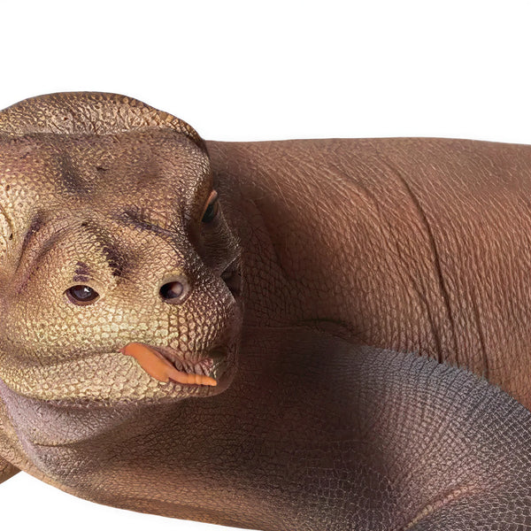 Komodo Dragon (Not in Aus)
