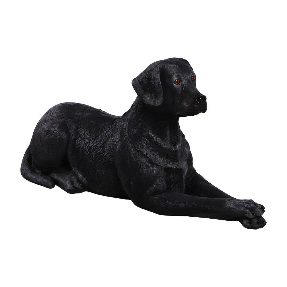 labrador-lying-down-black-angle