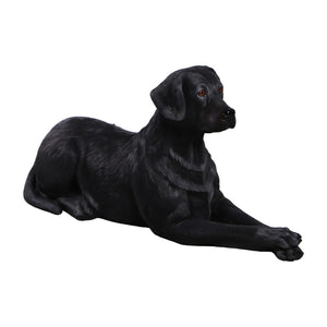 labrador-lying-down-black-angle
