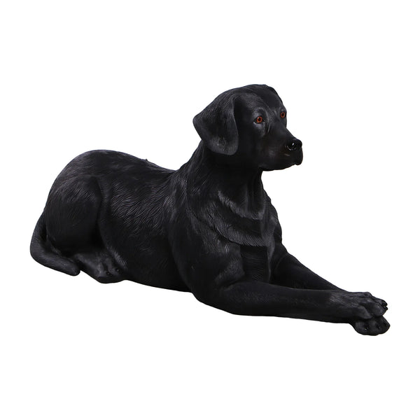 labrador-lying-down-black-angle