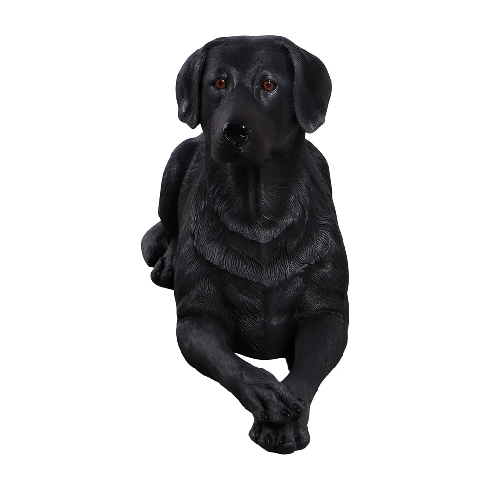 labrador-lying-down-black-angle