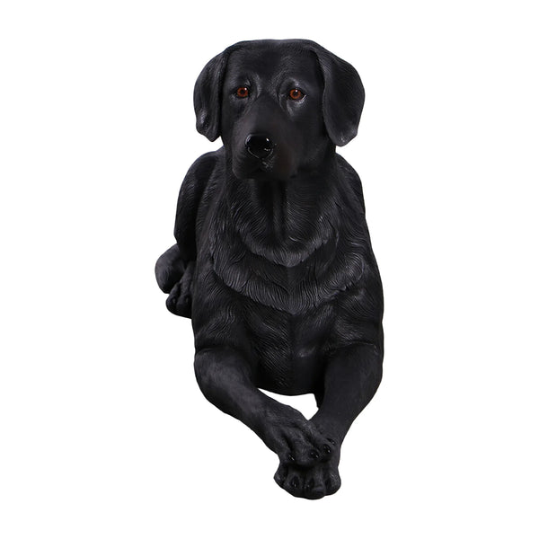 labrador-lying-down-black-front