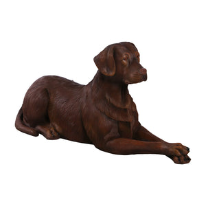 labrador-lying-down-yellow-angle