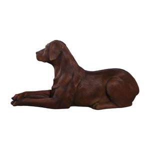 labrador-lying-down-chocolate-side