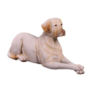labrador-lying-down-yellow-angle